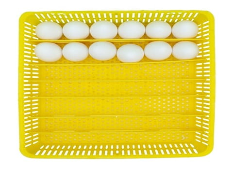 شانه تخم مرغ فانتزی منظم مطمئن